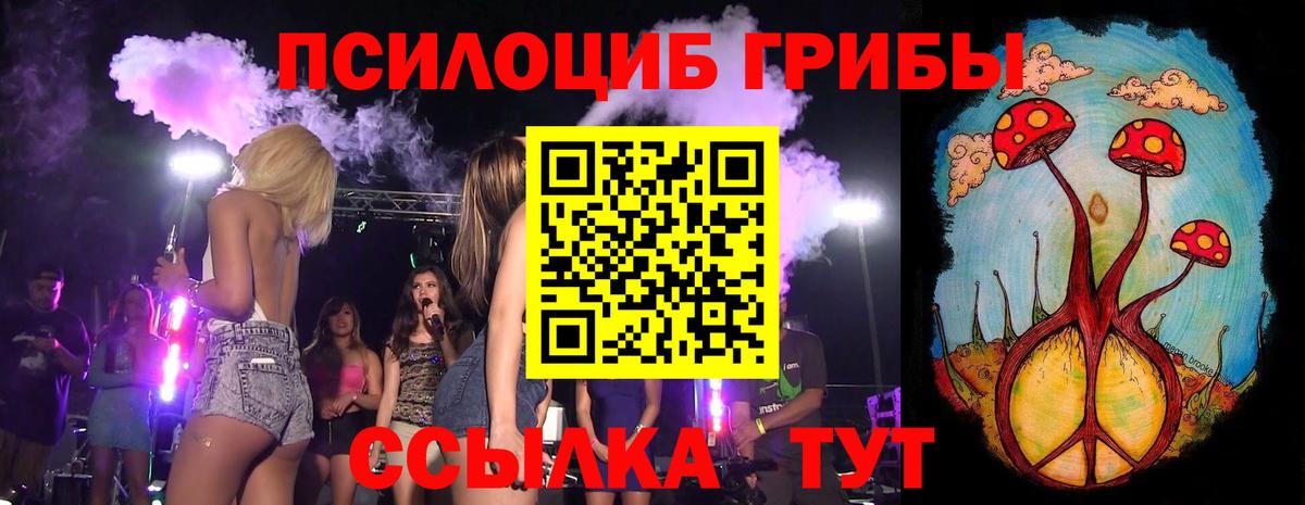 Псилоцибиновые грибы GOLDEN TEACHER  Вход с VPN  Псилоцибиновые грибы GOLDEN TEACHER  Нефтеюганск 