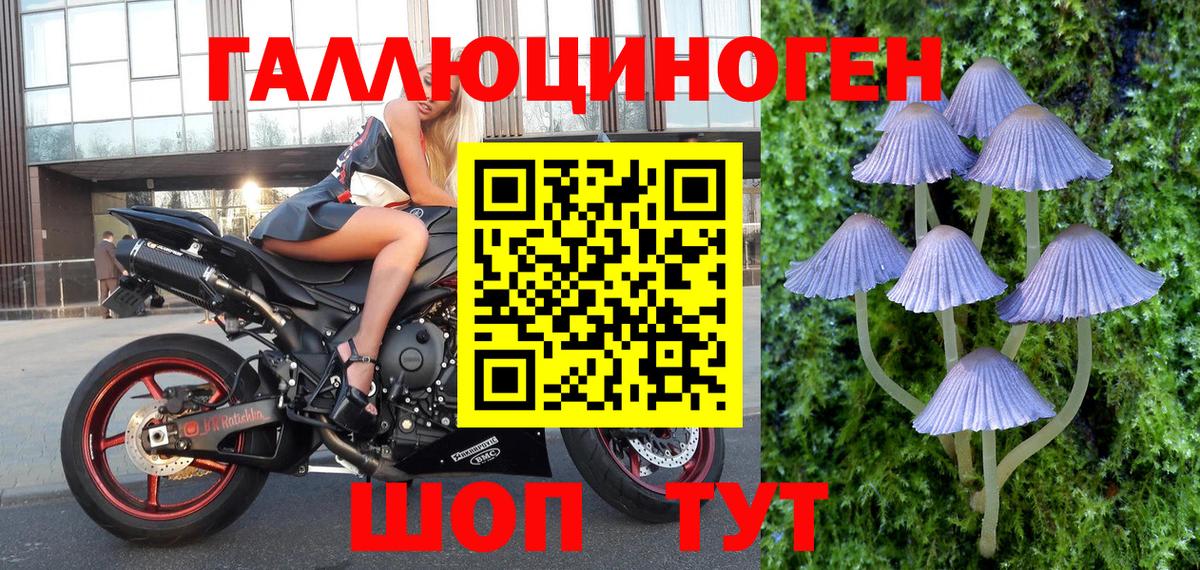Галлюциногенные грибы Cubensis Нефтеюганск